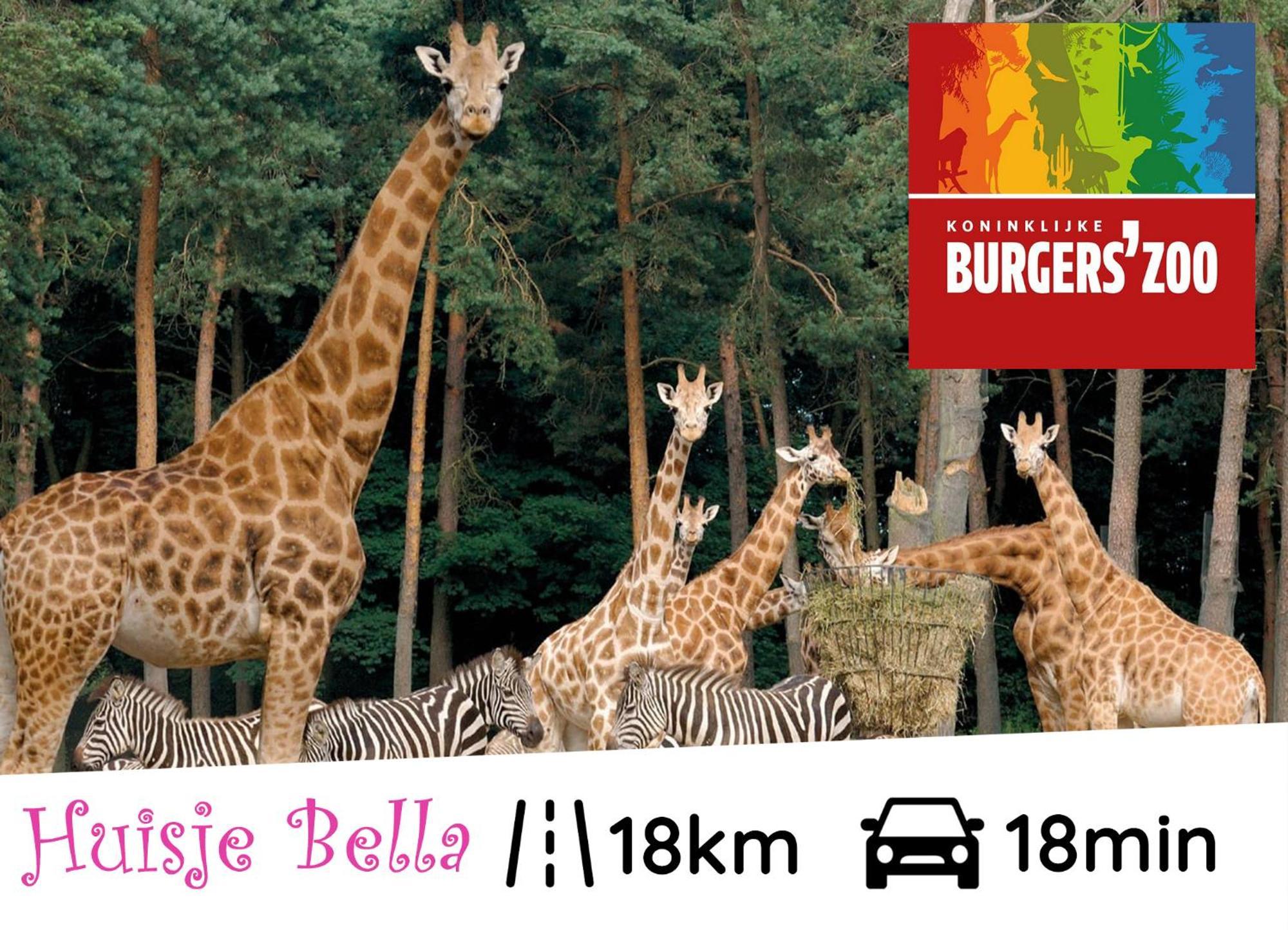 Chalet Huisje Bella Op De Veluwe Max 2 Volwassene Beekbergen Eksteriør bilde