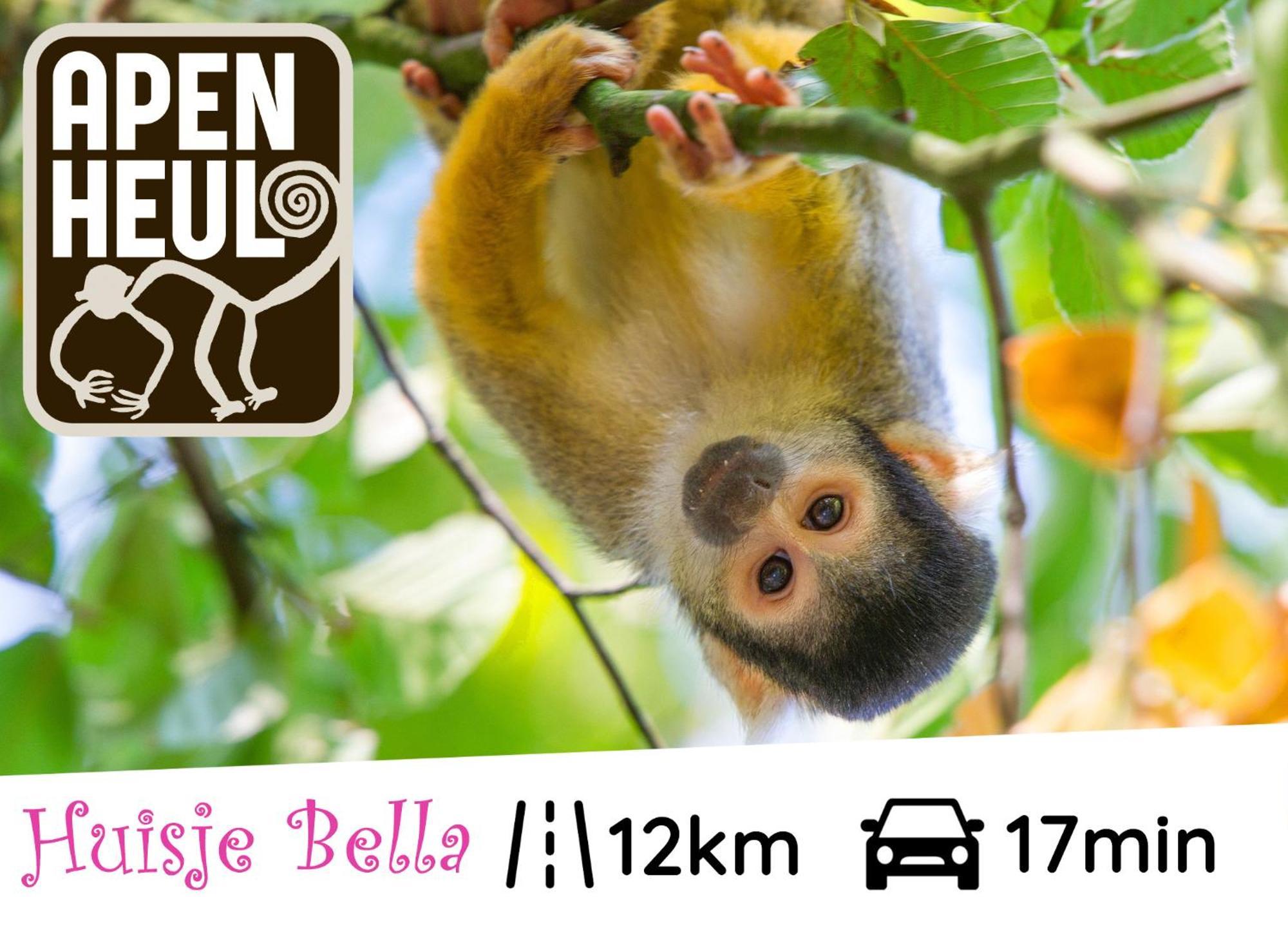 Chalet Huisje Bella Op De Veluwe Max 2 Volwassene Beekbergen Eksteriør bilde